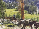 Ride Horses Cedar Grove Pack Station, Kings Canyon National Park, California