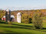 Visit Shelburne, Vermont