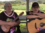 See a Slack Key Concert, Hanalei Community Center, Lahaina