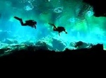 Dive Cenote Chac Mool, Yucatán, Mexico