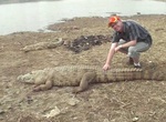 Pet a Crocodile in Paga, Ghana
