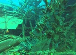 Wreck Dive The Fearless, Peter Island, BVI