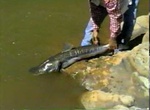 Fly Fish at Rio Grande River, Tierra del Fuego, Patagonia, Argentina