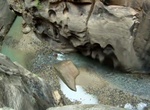 Canyoneer Imlay Canyon, Zion National Park, Utah