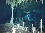 Dive Sistema Nohoch Nah Chich (Casa Cenote, Cenote Manati), Yucatán, Mexico