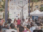 Fish in Bisbee’s Black & Blue Marlin Tournament, Cabo San Lucas, Baja California, Mexico