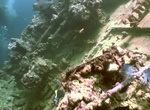 Wreck Dive Umbria, Sudan