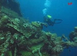Wreck Dive Toa Maru, Solomon Islands