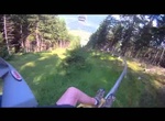 Experience Sommerrodelbahn