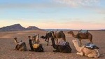02 DAYS MARRAKECH - OUARZAZATE - ZAGORA