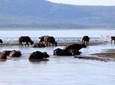 2 Day Tour Lake Nakuru, Hell' s Gate & Lake Naivasha From Nairobi