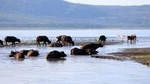 2 Day Tour Lake Nakuru, Hell' s Gate & Lake Naivasha From Nairobi