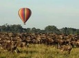 3 Days 2 Nights Masai Mara Joining Safari From Nairobi