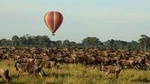 3 Days 2 Nights Masai Mara Joining Safari From Nairobi
