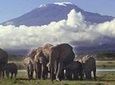 3 Day Amboseli National Park All-Inclusive Camping Safari