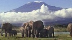 3 Day Amboseli National Park All-Inclusive Camping Safari