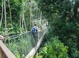 4-Day Jungle Experience in Taman Negara from Kuala Lumpur