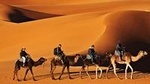 4-Day Fez to Marrakech Small-Group Desert Tour