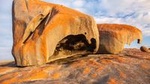 Flinders Chase Focus - Full Day Kangaroo Island Wildlife Tour