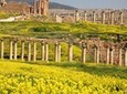 5 Nights 6 Days Private Experience Jordan Tours