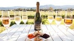 6 Hour Sparkling Wine Tour - Napa Valley