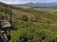 AdrenaLine Kauai Zipline Tour