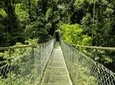 Arenal Hanging Bridges From Arenal