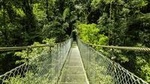 Arenal Hanging Bridges From Arenal