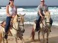 Aruba 3 hrs Horseback Riding For Advanced Riders
