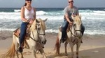 Aruba 3 hrs Horseback Riding For Advanced Riders
