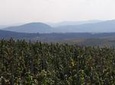 Beaujolais North Wine Private Tour with Wine and Food Tasting from Lyon