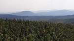 Beaujolais North Wine Private Tour with Wine and Food Tasting from Lyon
