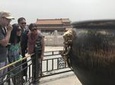 Private Customized Beijing Layover Tour of City Highlights