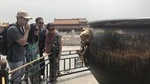 Private Customized Beijing Layover Tour of City Highlights