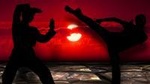Chinese Kung Fu Experience