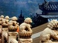 Beijing Private Tour to Badachu Park including Vegetarian Lunch