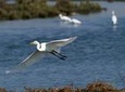 Bird Watching and City Sightseeing From Nanchang