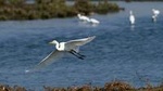 Bird Watching and City Sightseeing From Nanchang