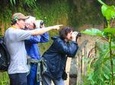 Birdwatching Tour in Tinajillas Forest area from Cuenca