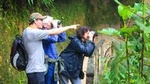 Birdwatching Tour in Tinajillas Forest area from Cuenca