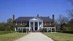 Boone Hall Plantation Tour with Transportation from Charleston