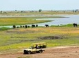 Chobe National Park Game Drive, Botswana