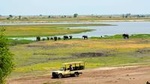 Chobe National Park Game Drive, Botswana