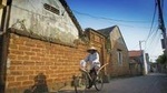 Day Trip to Duong Lam Ancient Village from Hanoi