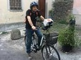 Lake Como Guided e-Bike and iPad Experience