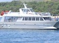 Lanai Snorkeling and Dolphin Encounter from Lahaina