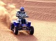 Dubai 30 mins Quad Bike with Evening Safari and ferrari world