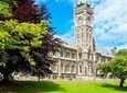 Dunedin City and Coastal Views 3-Hour Small-Group Guided Tour