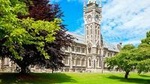 Dunedin City and Coastal Views 3-Hour Small-Group Guided Tour