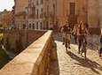 Granada Electric Bike Guided Tour